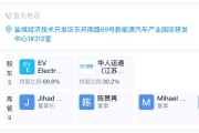 中東資本出手復活高合？黎巴嫩公司注資約7.2億元成立合資公司，鹽城工廠仍處于停工停產狀態