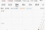 連續漲停又跌停！一批公司提示風險