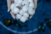如何查詢微粒貸服務狀態？這種查詢方式有哪些注意事項？