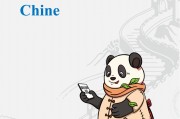 法文版在華支付指南：Guide des paiements en Chine
