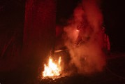 特朗普怒了！洛杉磯史上最大火災，損失預估1500億美元！哈里斯、拜登之子豪宅被毀