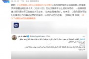 以色列國防軍阿拉伯語發言人否認以軍接近大馬士革