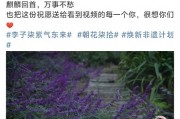 李子柒時隔三年更新視頻，稱“很想你們”