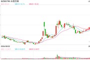 首發經濟概念股持續走強，十余股漲停！多家上市公司回應