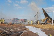 韓媒：韓國墜機碰撞事故幸存機組人員獲救后發聲，提到“鳥擊”