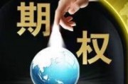 如何理解買入期權的偏向特征？這種特征有何影響？
