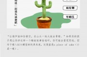 站在風口的AI玩具，是“智商稅”嗎？