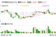 萬向德農：聘任謝楊為公司財務負責人
