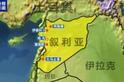敘反政府武裝進入霍姆斯北部！俄羅斯大使館：敦促俄公民離開敘利亞！外媒：伊朗計劃向敘輸送導彈和無人機