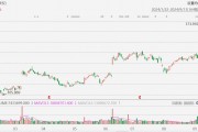 甲骨文大漲近8%，創歷史新高