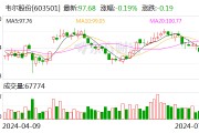 韋爾股份：預(yù)計(jì)2024年上半年凈利13.08億元-14.08億元 同比增長754.11%-819.42%