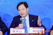 協鑫集團朱共山：只有出海才能消納中國光伏行業現在的產能