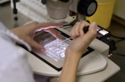 美千余名科學家簽署公開信 控訴特朗普政府削減科研經費