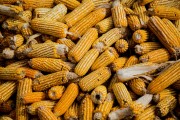 如何分析銅價上漲現(xiàn)象？背后的推動因素是什么？