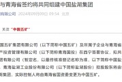 大重組！“中國神湖”起航 鹽湖資源整合或加速推進(jìn)