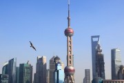 “光PPT就做了上百頁(yè)”！上海三大產(chǎn)業(yè)先導(dǎo)基金再出手17只子基金