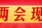 政協(xié)委員熱議 推進統(tǒng)一大市場建設(shè)  要建立公平統(tǒng)一的市場監(jiān)管體系