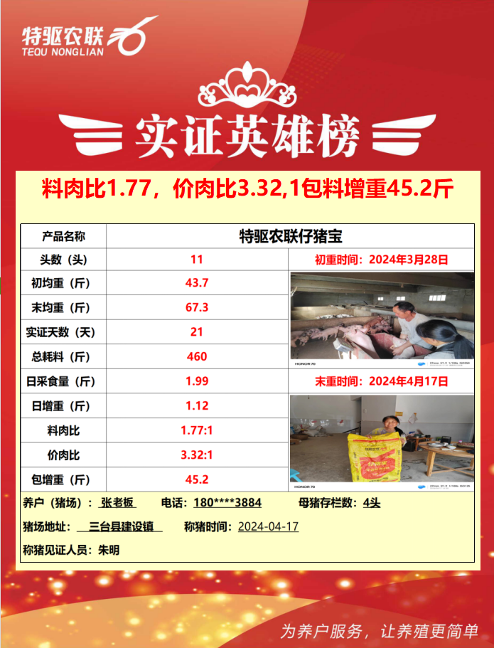 張老板：料肉比1.77，一包料長45.2斤豬，確實不錯！