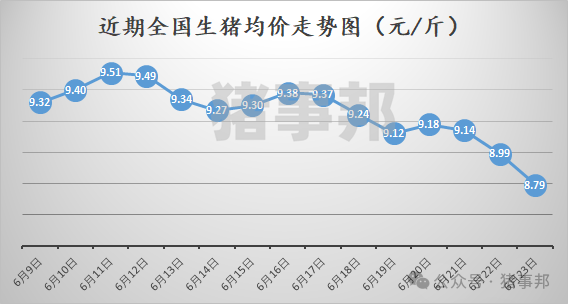豬事邦|| 6月23日豬價(jià)匯總（周均價(jià)連續(xù)6周上漲后下跌！）