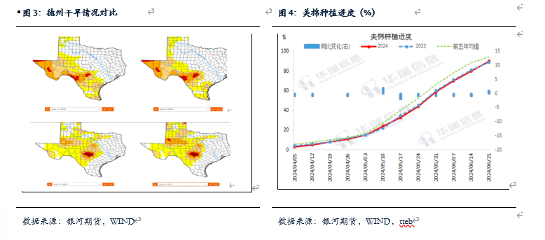 【棉花、棉紗半年報】水漲船欲高 棉花或可期