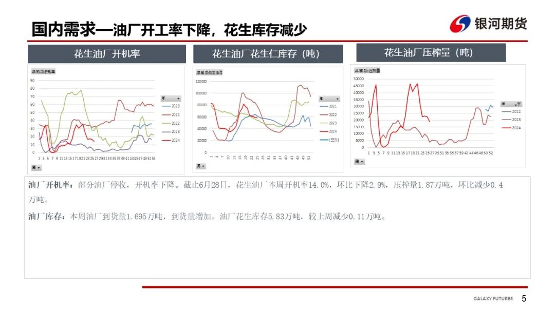 【花生周報(bào)】東北產(chǎn)區(qū)花生止跌反彈  盤面底部反彈