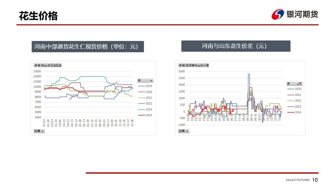 【花生周報(bào)】東北產(chǎn)區(qū)花生止跌反彈  盤面底部反彈