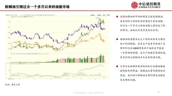 【月度策略】生物燃料前景擔憂施壓油脂，關注印尼棕櫚油賣貨情況