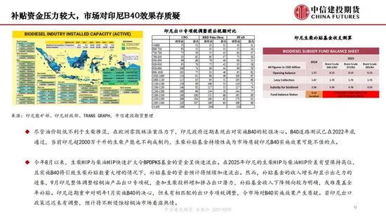 【月度策略】生物燃料前景擔憂施壓油脂，關注印尼棕櫚油賣貨情況