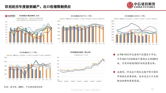 【月度策略】生物燃料前景擔憂施壓油脂，關注印尼棕櫚油賣貨情況