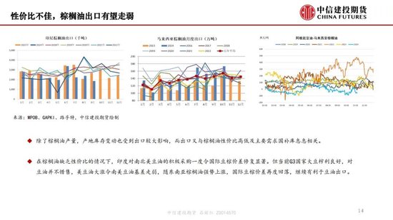 【月度策略】生物燃料前景擔憂施壓油脂，關注印尼棕櫚油賣貨情況