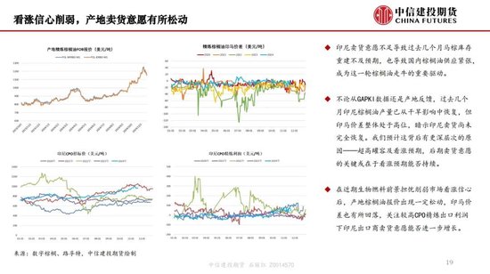 【月度策略】生物燃料前景擔憂施壓油脂，關注印尼棕櫚油賣貨情況