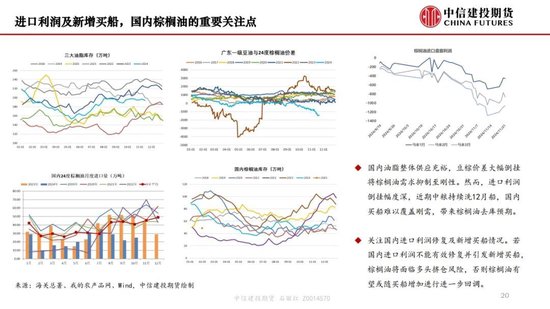 【月度策略】生物燃料前景擔憂施壓油脂，關注印尼棕櫚油賣貨情況