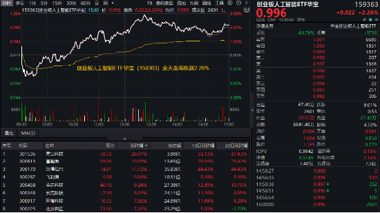 豆包重磅更新，AI繼續猛攻！星宸科技、富瀚微20CM漲停，創業板人工智能ETF華寶（159363）收漲超2%領跑同類
