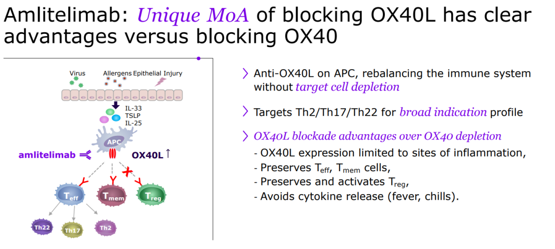 創響生物與Ikena Oncology合并，融資7500萬美元 ，OX40 單克隆抗體能否撐起未來？