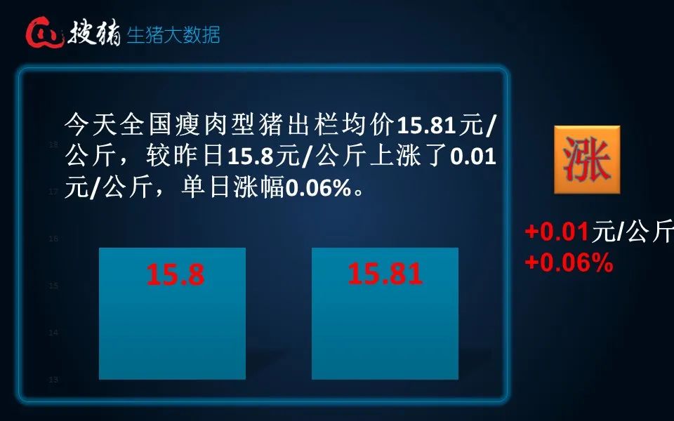 生豬現貨日報|全國均價15.81元/公斤 連漲后養殖端賣豬情緒增強 屠企收豬壓力緩解