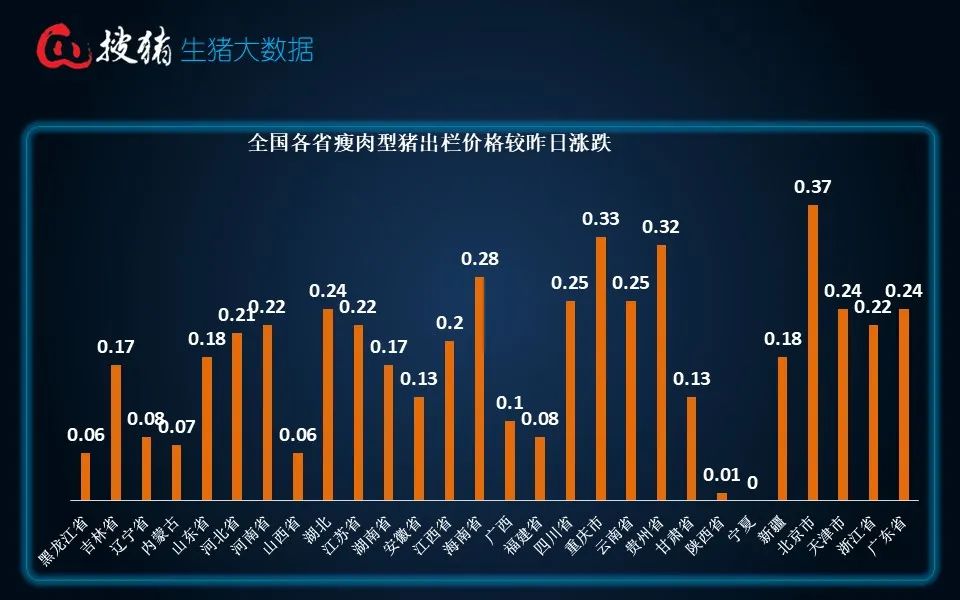 生豬現貨日報|全國均價15.81元/公斤 連漲后養殖端賣豬情緒增強 屠企收豬壓力緩解