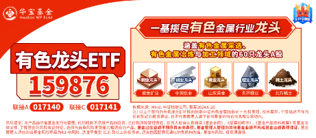 逆市漲超2%！有色龍頭ETF（159876）霸居全市場(chǎng)ETF漲幅榜前十！銅、鋁、黃金攜手狂飆，紫金礦業(yè)漲逾4%