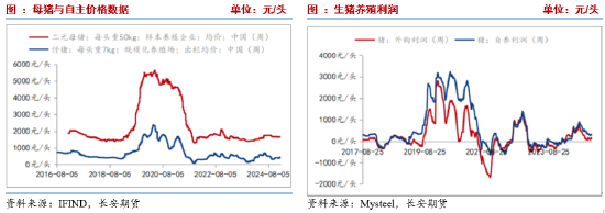 長安期貨劉琳：增儲政策后基本面變化有限 臨近春節玉米市場或有降溫