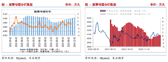 長安期貨劉琳：增儲政策后基本面變化有限 臨近春節玉米市場或有降溫