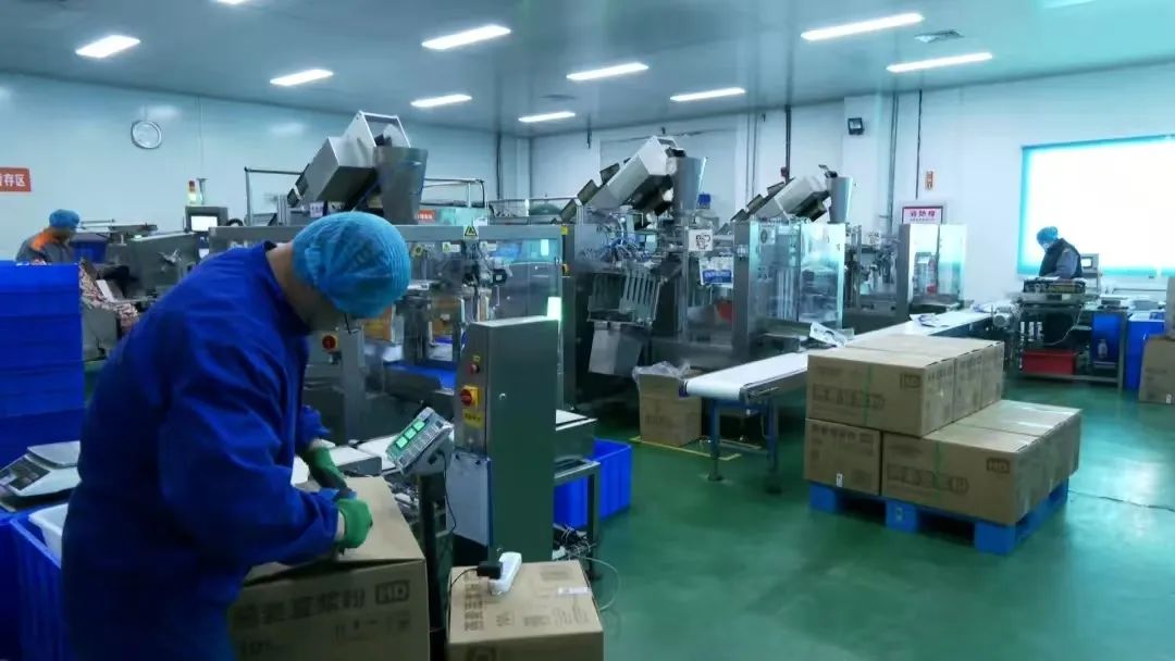 首季開門紅 | 總投資達86.03億元！杜爾伯特縣今年計劃實施24個投資500萬元以上的項目