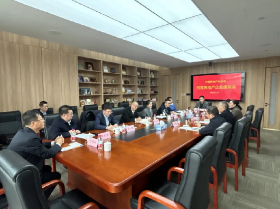 中國房地產業協會召開民營房地產企業座談會 龍湖、旭輝等企業代表參加