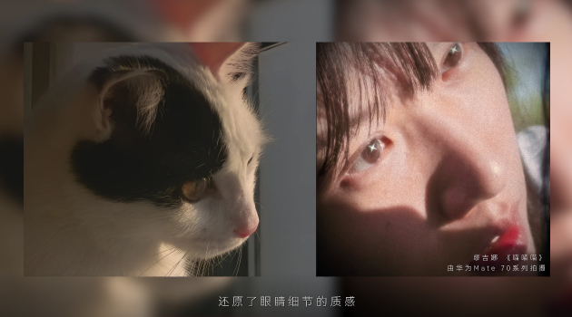手機如何拍電影？金雞手機電影計劃投稿導演用華為Mate 70系列交出答卷