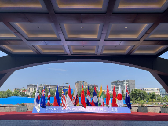 中國東方教育出席2025 RCEP成員國暨長三角工商界青年對話會 共話區域合作與青年發展新機遇