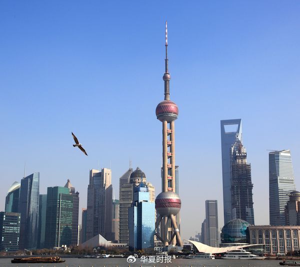 “光PPT就做了上百頁”！上海三大產業先導基金再出手17只子基金